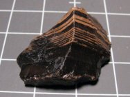 Eocene Stromatolites
